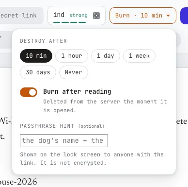 The options menu: Destroy after (10 min, 1 hour, 1 day, 1 week, 30 days, Never), Burn after reading switched on, and an optional passphrase hint.